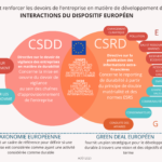 CSRD-CSDD - Interactions du dispositif européen en matière de durabilité - Parangone 2023